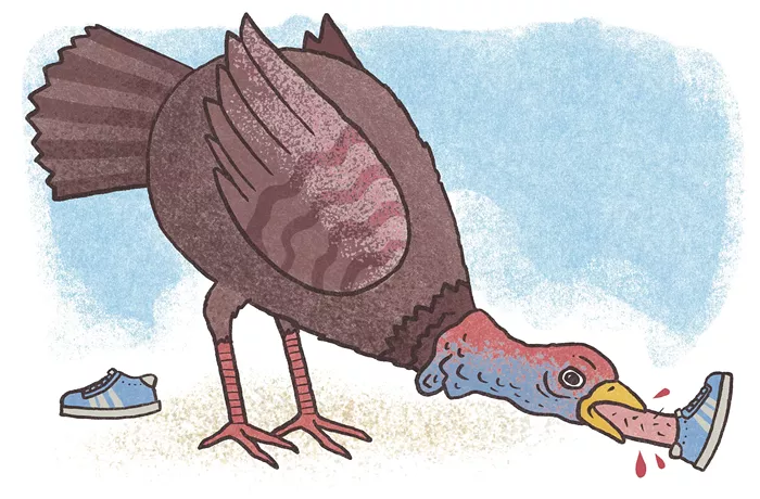 SAVAGE LOVE: Turkey Run